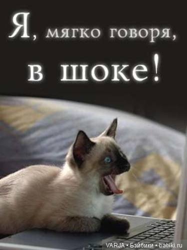 "Приключения пятой точки" или воспоминания о моей первой "сделке" на бэйбиках Коллекционные куклы Миддлтон (фото 2)