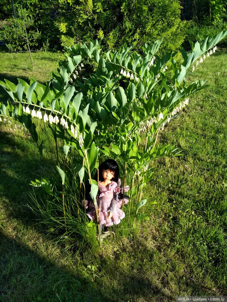 Моя первая Каешечка. На свежем воздухе (фото 3)