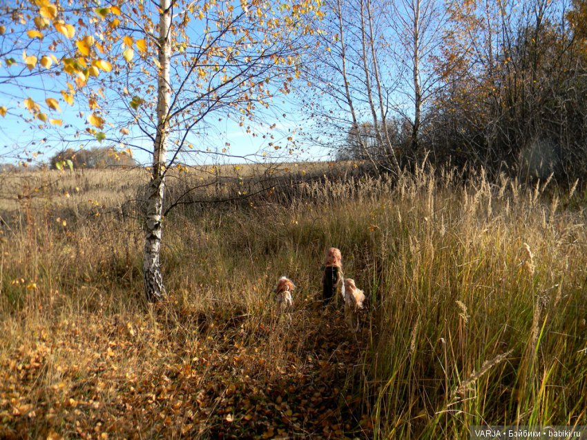 Волшебная встреча в желтом лесу (фото 7)