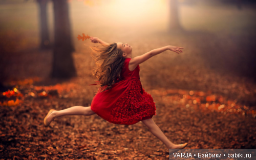 Волшебная встреча в желтом лесу