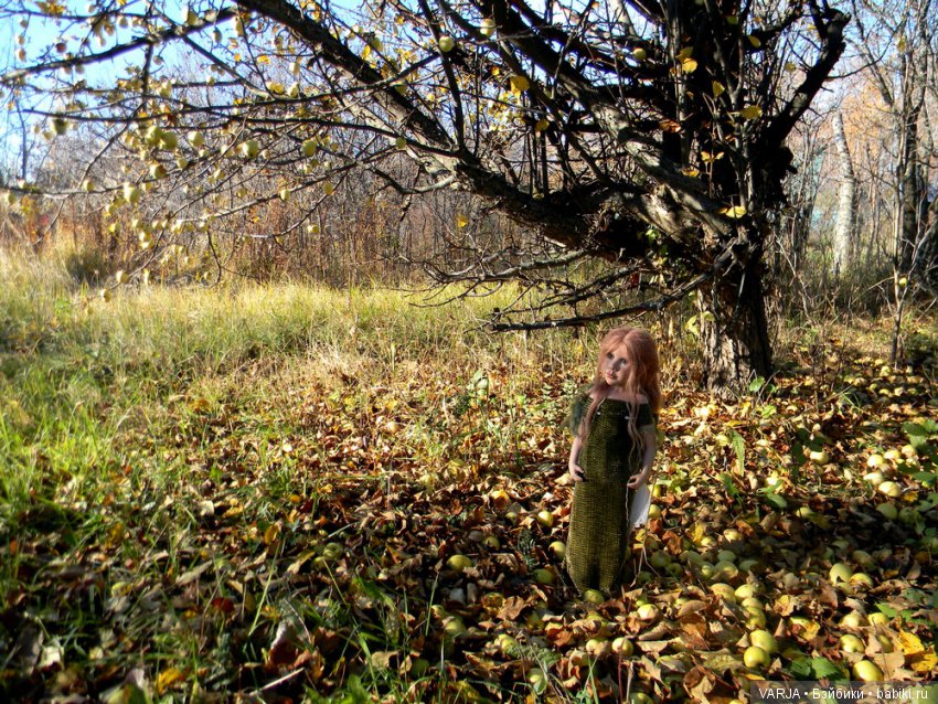 Волшебная встреча в желтом лесу