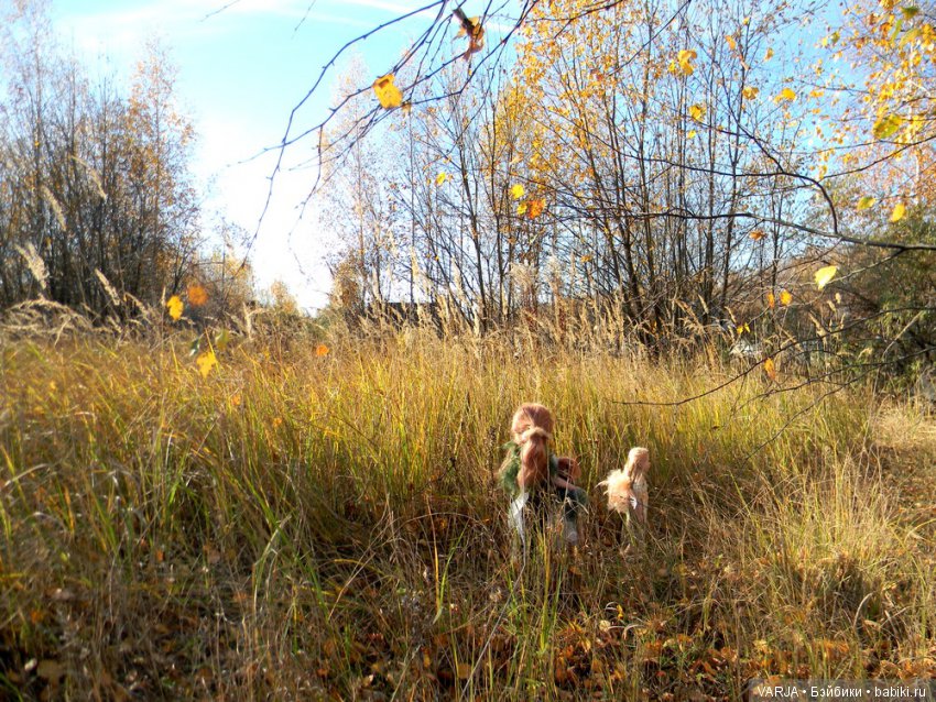 Волшебная встреча в желтом лесу
