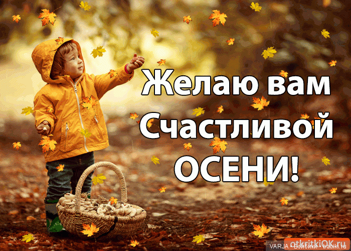 Иду среди скользящих cновидений