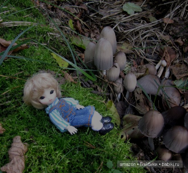 И мы тоже по грибы — Куклы Brownie (Брауни) Felix Doll: Tiny BJD (БЖД) (фото 5)