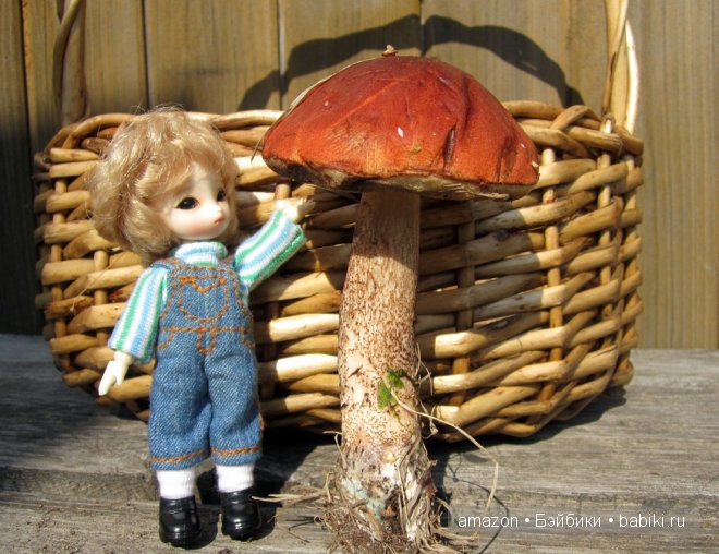 И мы тоже по грибы — Куклы Brownie (Брауни) Felix Doll: Tiny BJD (БЖД) (фото 9)