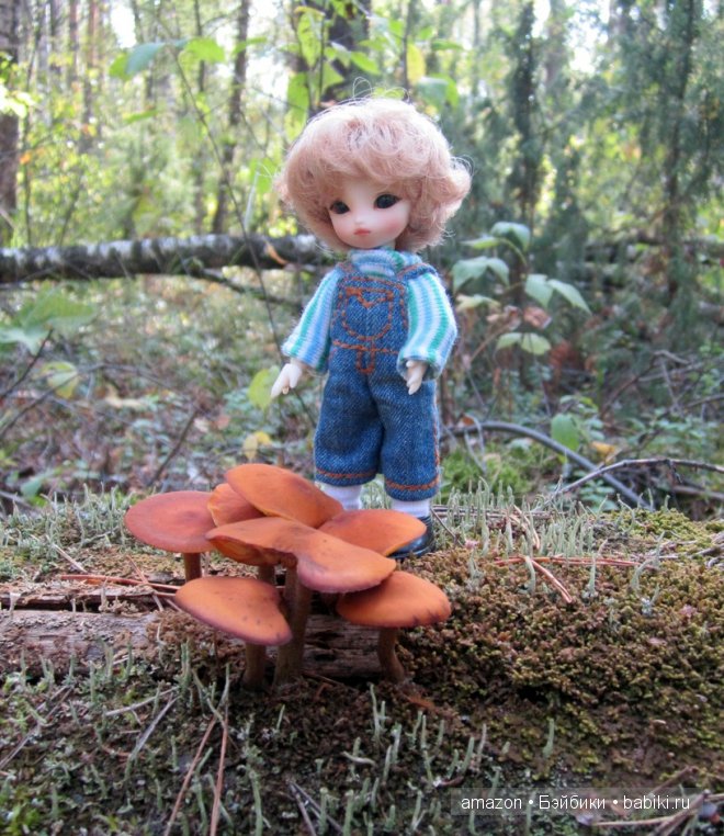 И мы тоже по грибы — Куклы Brownie (Брауни) Felix Doll: Tiny BJD (БЖД) (фото 4)