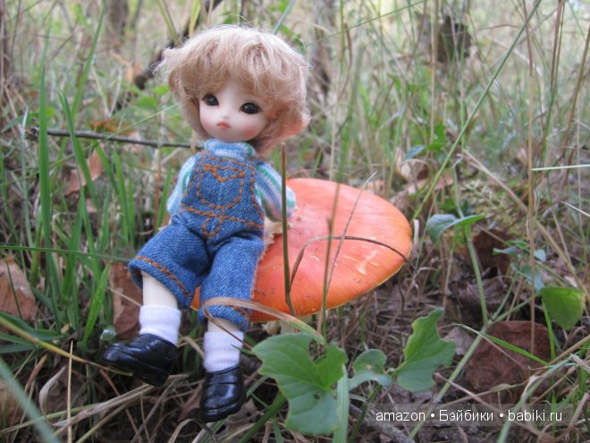 И мы тоже по грибы — Куклы Brownie (Брауни) Felix Doll: Tiny BJD (БЖД) (фото 2)