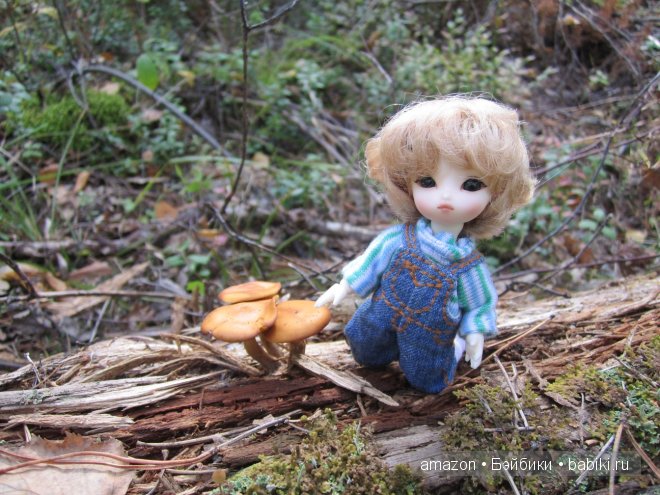 И мы тоже по грибы — Куклы Brownie (Брауни) Felix Doll: Tiny BJD (БЖД) (фото 3)