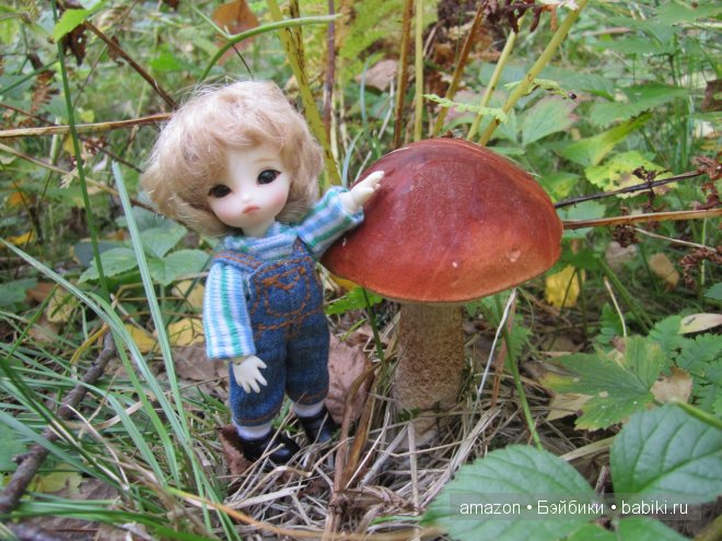 И мы тоже по грибы — Куклы Brownie (Брауни) Felix Doll: Tiny BJD (БЖД) (фото 7)