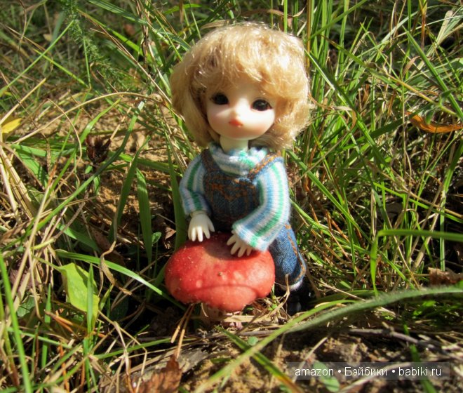 И мы тоже по грибы — Куклы Brownie (Брауни) Felix Doll: Tiny BJD (БЖД) (фото 8)
