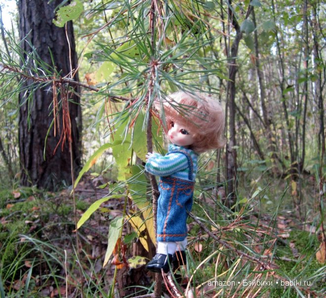 И мы тоже по грибы — Куклы Brownie (Брауни) Felix Doll: Tiny BJD (БЖД)