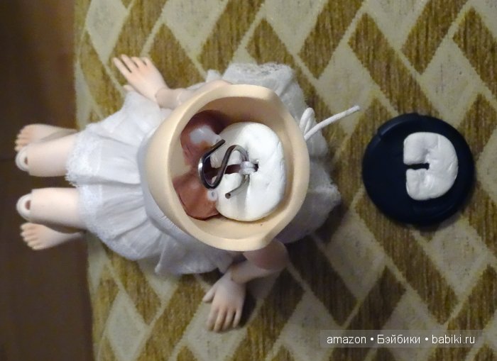 Моя "гибридная" минифи Хлоя (фото 2)