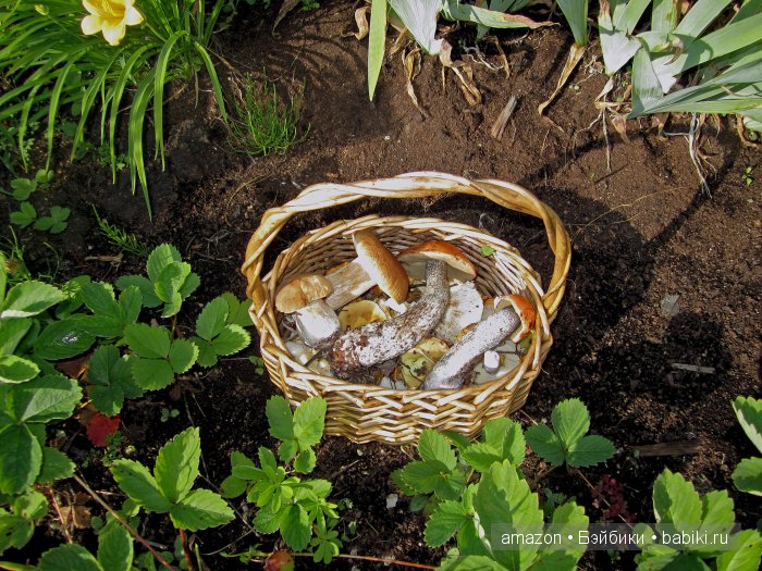 Ну, пошалила моя мелочь :)