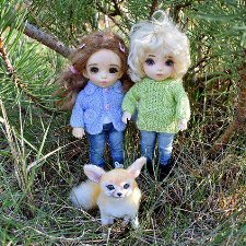 Неожиданная встреча в лесу