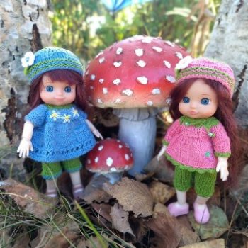 Гибридизация пупсов Chou Chou birds