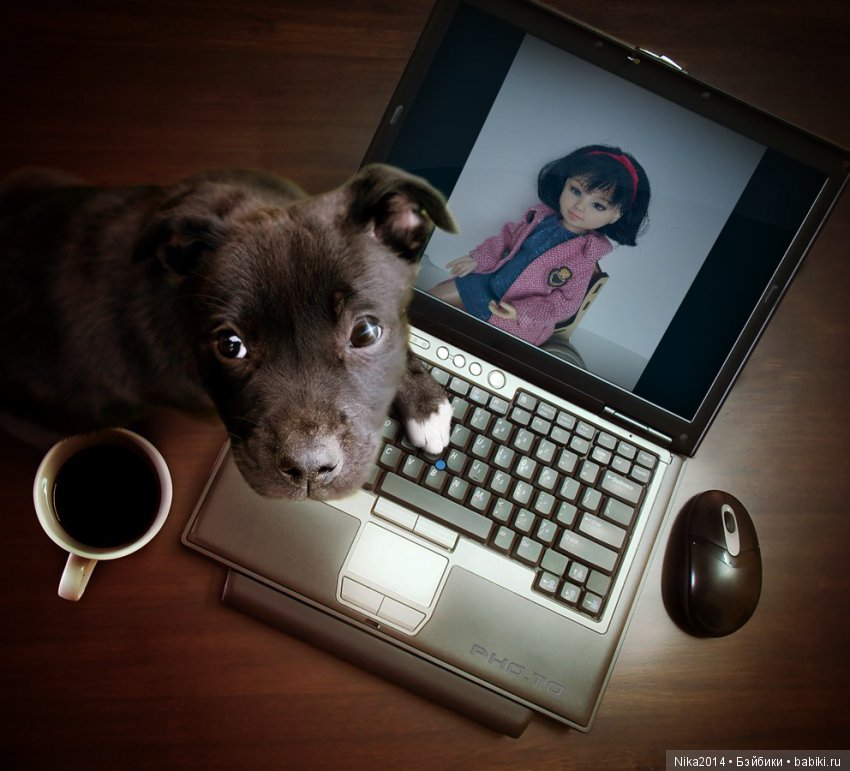 Девочка Мила — Куклы Jolina Zapf (Джолина): шарнирные балерины (фото 7)