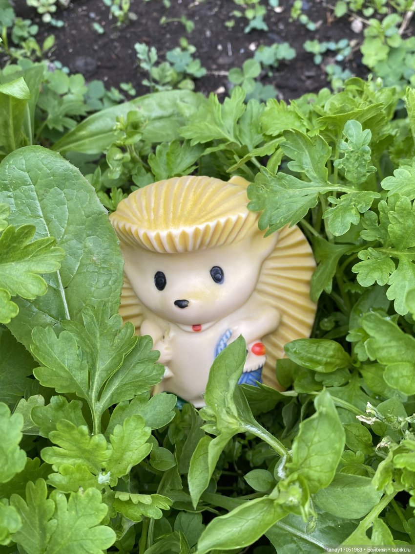 А вы видели Ёжиков — Игрушки СССР и советского детства: резиновые (фото 3)