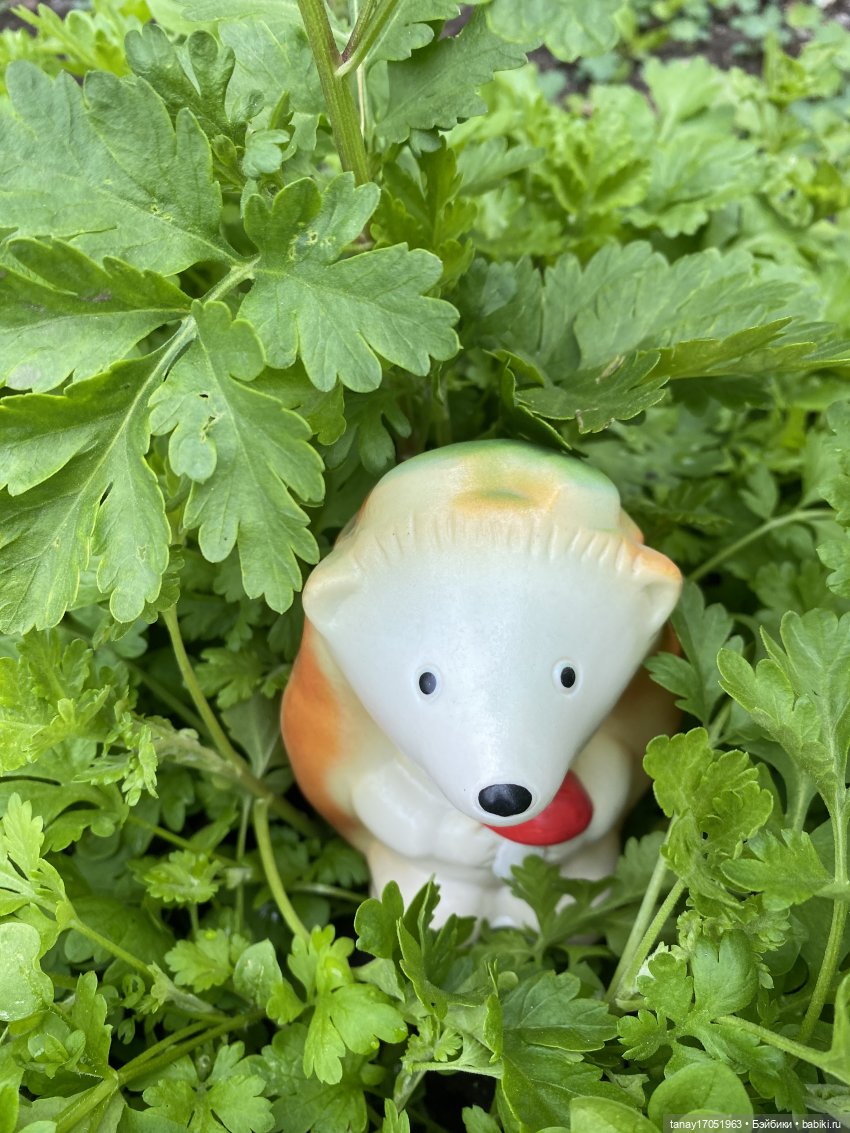 А вы видели Ёжиков — Игрушки СССР и советского детства: резиновые