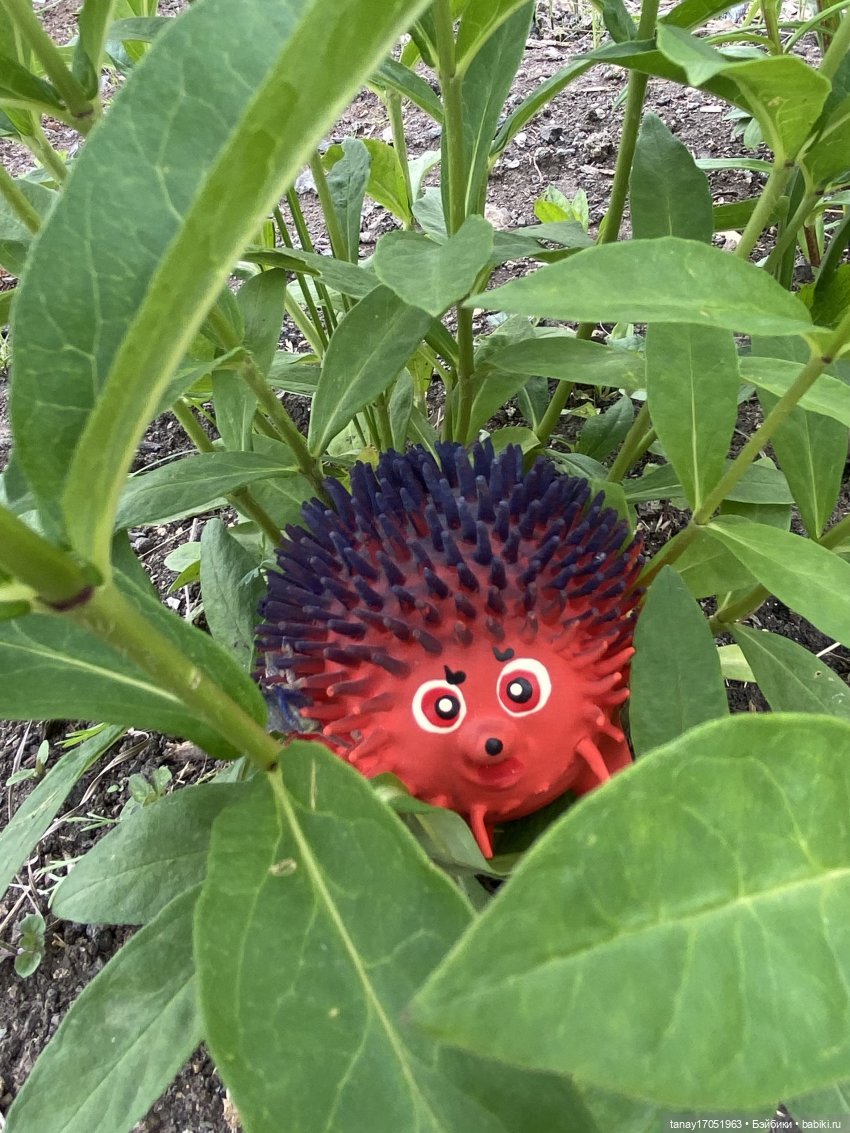 А вы видели Ёжиков — Игрушки СССР и советского детства: резиновые (фото 6)