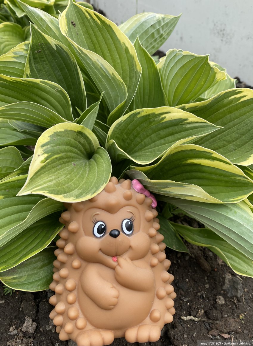 А вы видели Ёжиков — Игрушки СССР и советского детства: резиновые