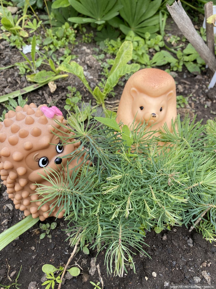 А вы видели Ёжиков — Игрушки СССР и советского детства: резиновые (фото 10)