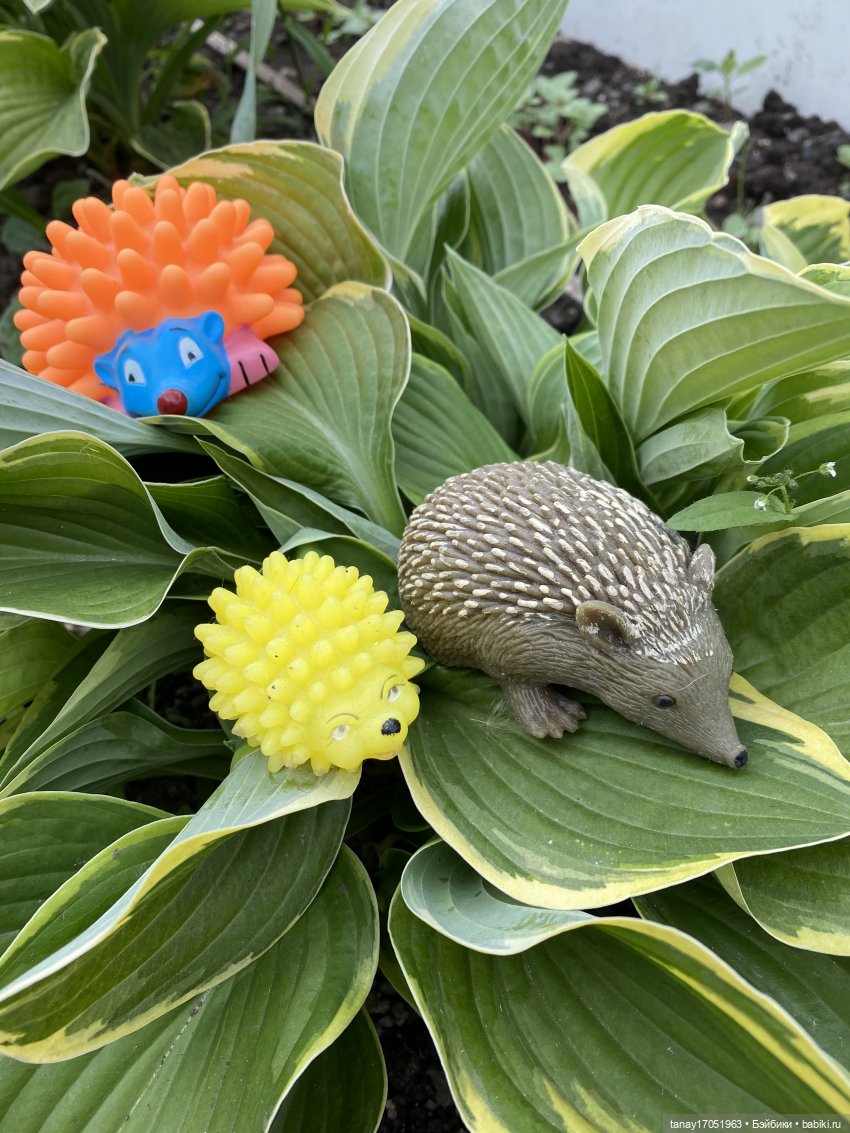 А вы видели Ёжиков — Игрушки СССР и советского детства: резиновые