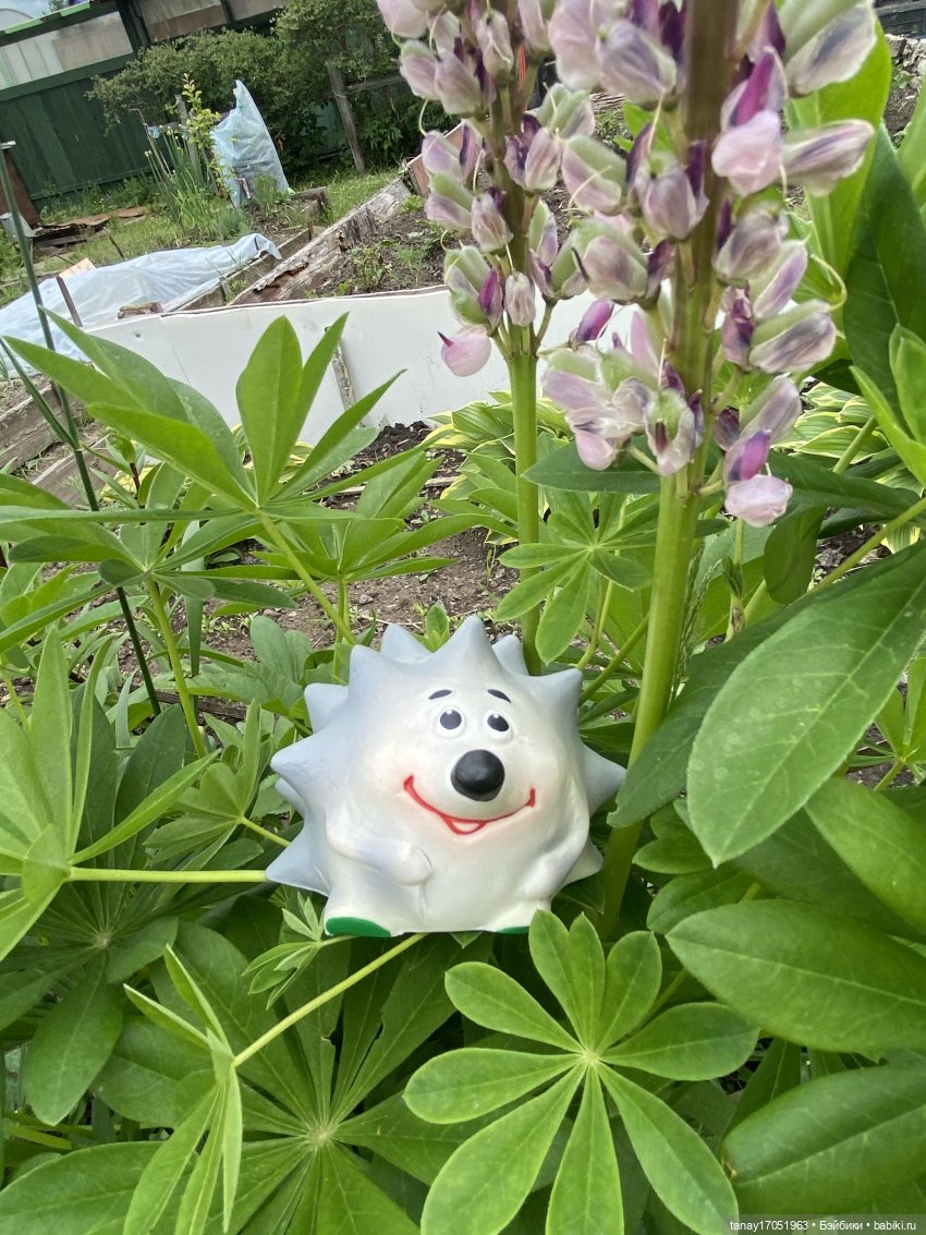 А вы видели Ёжиков — Игрушки СССР и советского детства: резиновые