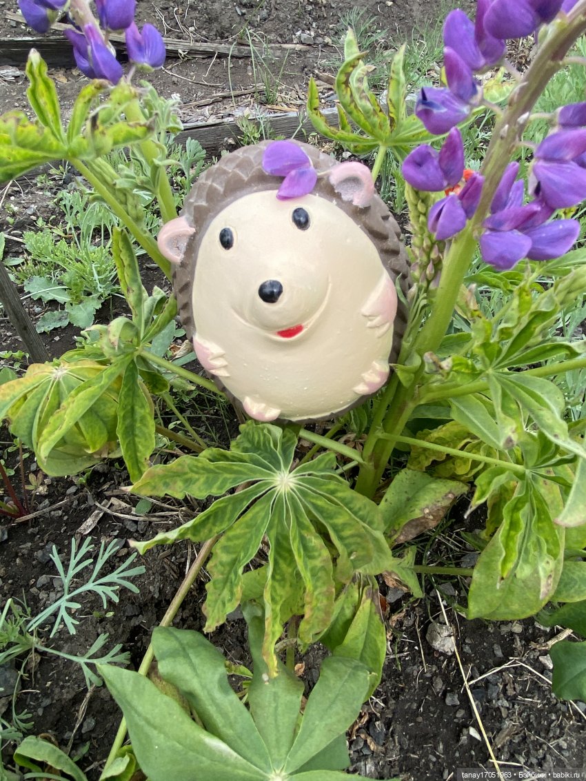 А вы видели Ёжиков — Игрушки СССР и советского детства: резиновые