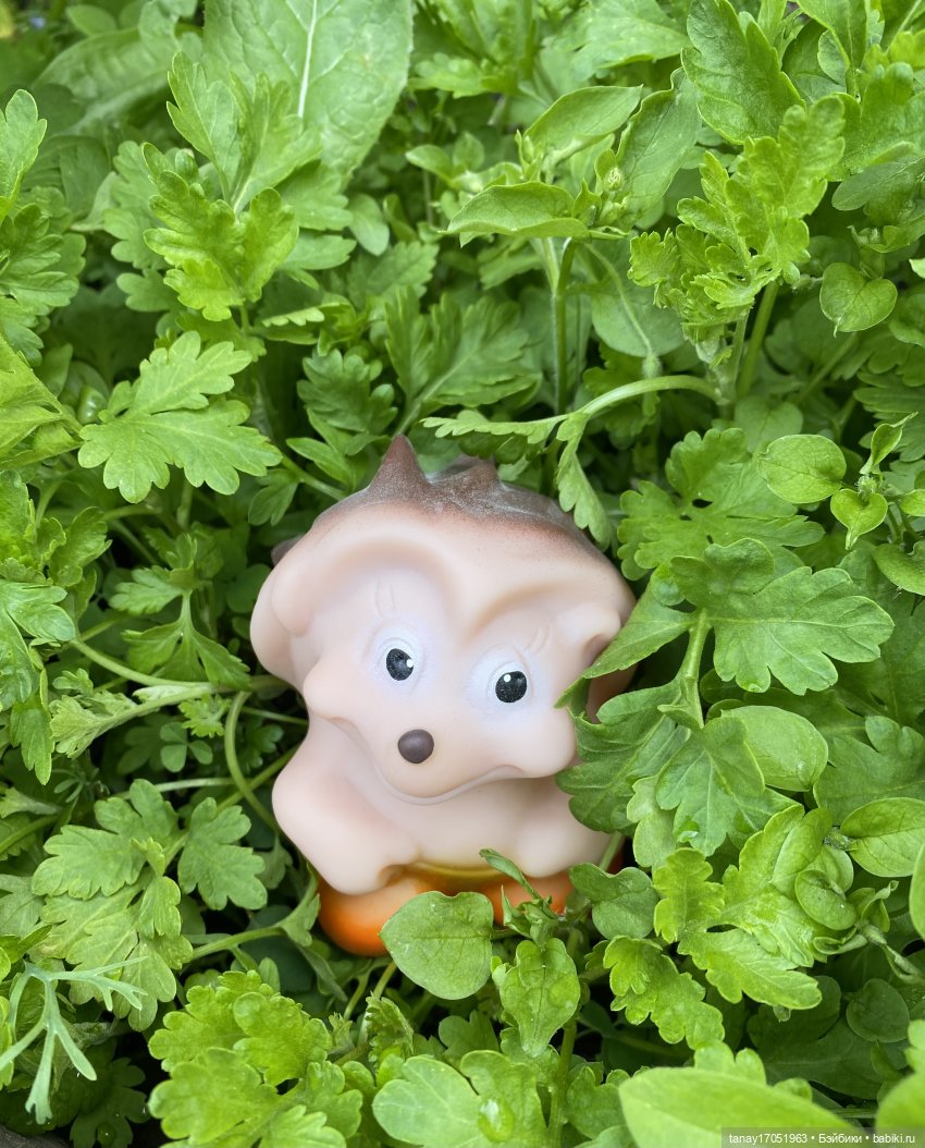 А вы видели Ёжиков — Игрушки СССР и советского детства: резиновые