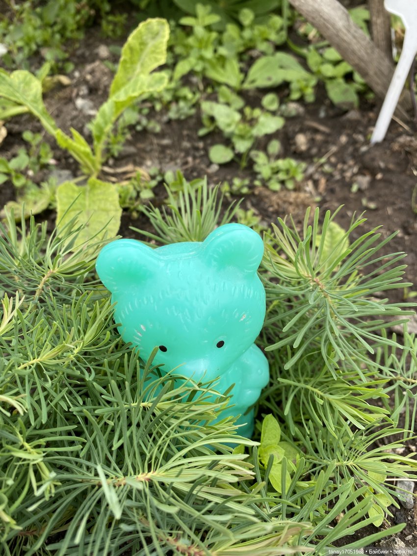 А вы видели Ёжиков — Игрушки СССР и советского детства: резиновые