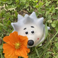 А вы видели Ёжиков?