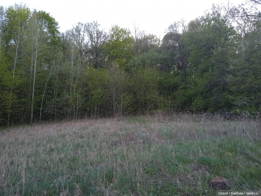 Обезьянки на прогулке🐒🌴 — Игрушки Hasbro (Хасбро): Littlest Pet Shop (LPS) (фото 10)