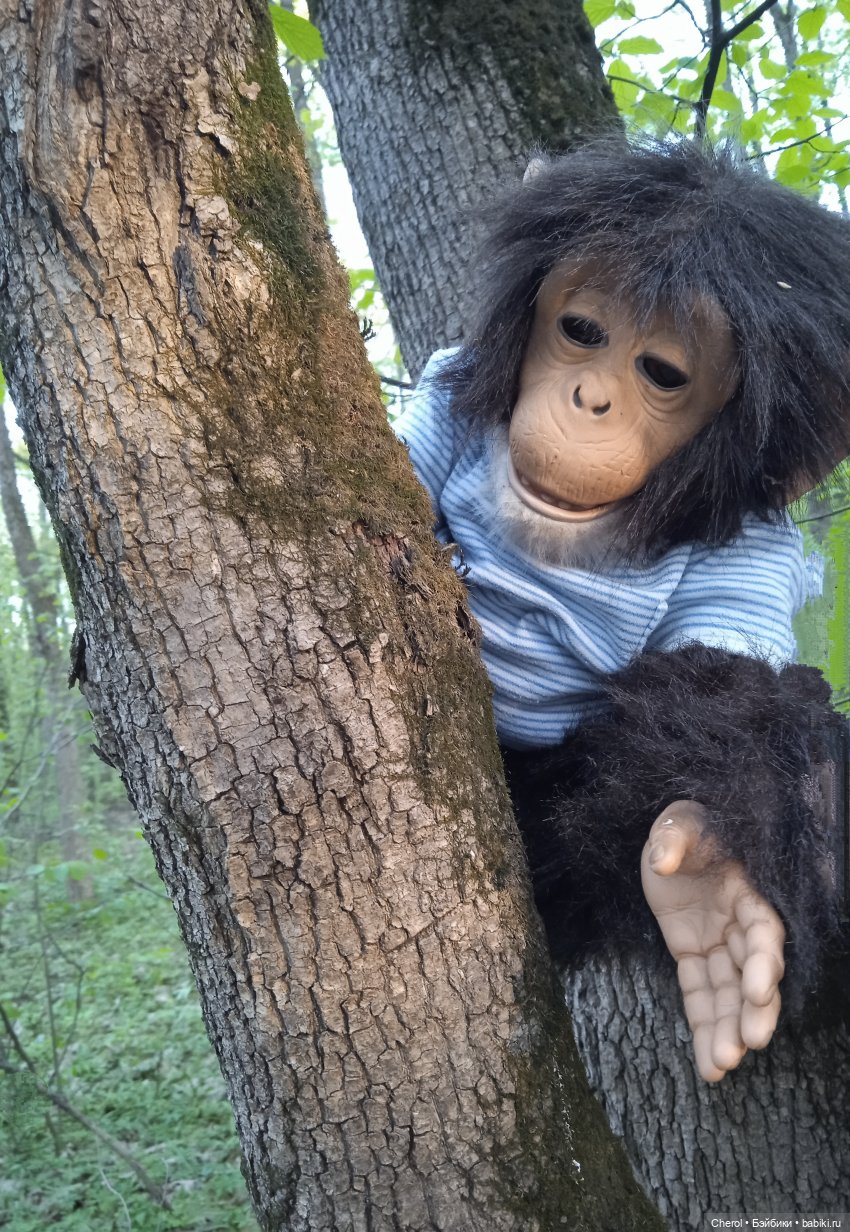 Обезьянки на прогулке🐒🌴 — Игрушки Hasbro (Хасбро): Littlest Pet Shop (LPS) (фото 4)