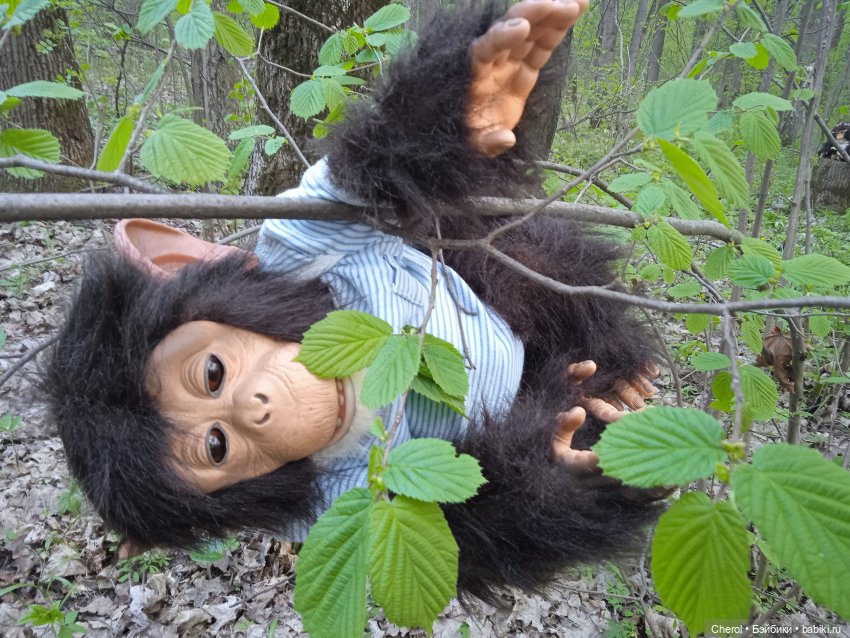 Обезьянки на прогулке🐒🌴 — Игрушки Hasbro (Хасбро): Littlest Pet Shop (LPS) (фото 8)