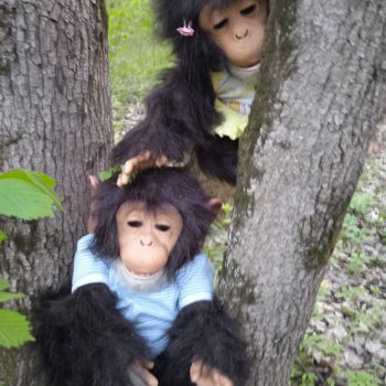 Обезьянки на прогулке🐒🌴