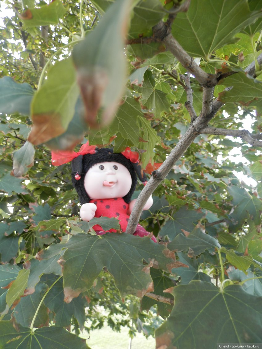 Букашки на прогулке🐝🐞 — Куклы Cabbage Patch Kids (Капустки): винтаж 80 (фото 8)