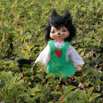 Кошка, которая гуляет сама по себе