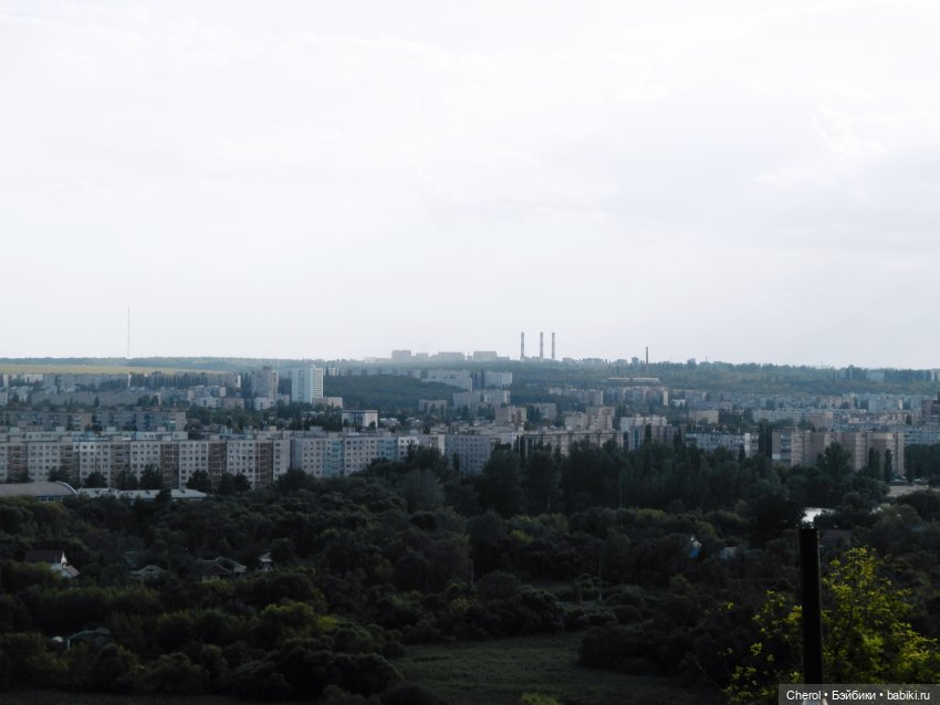 Кошка, которая гуляет сама по себе