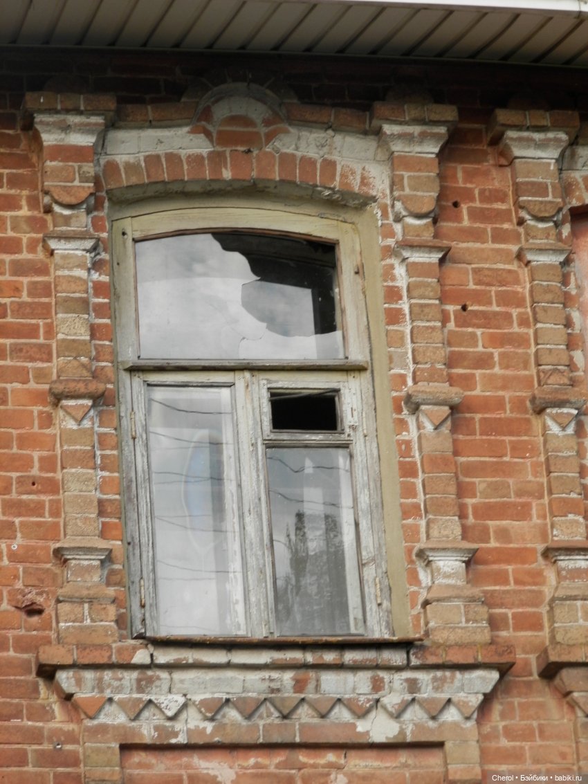 Кошка, которая гуляет сама по себе (фото 10)