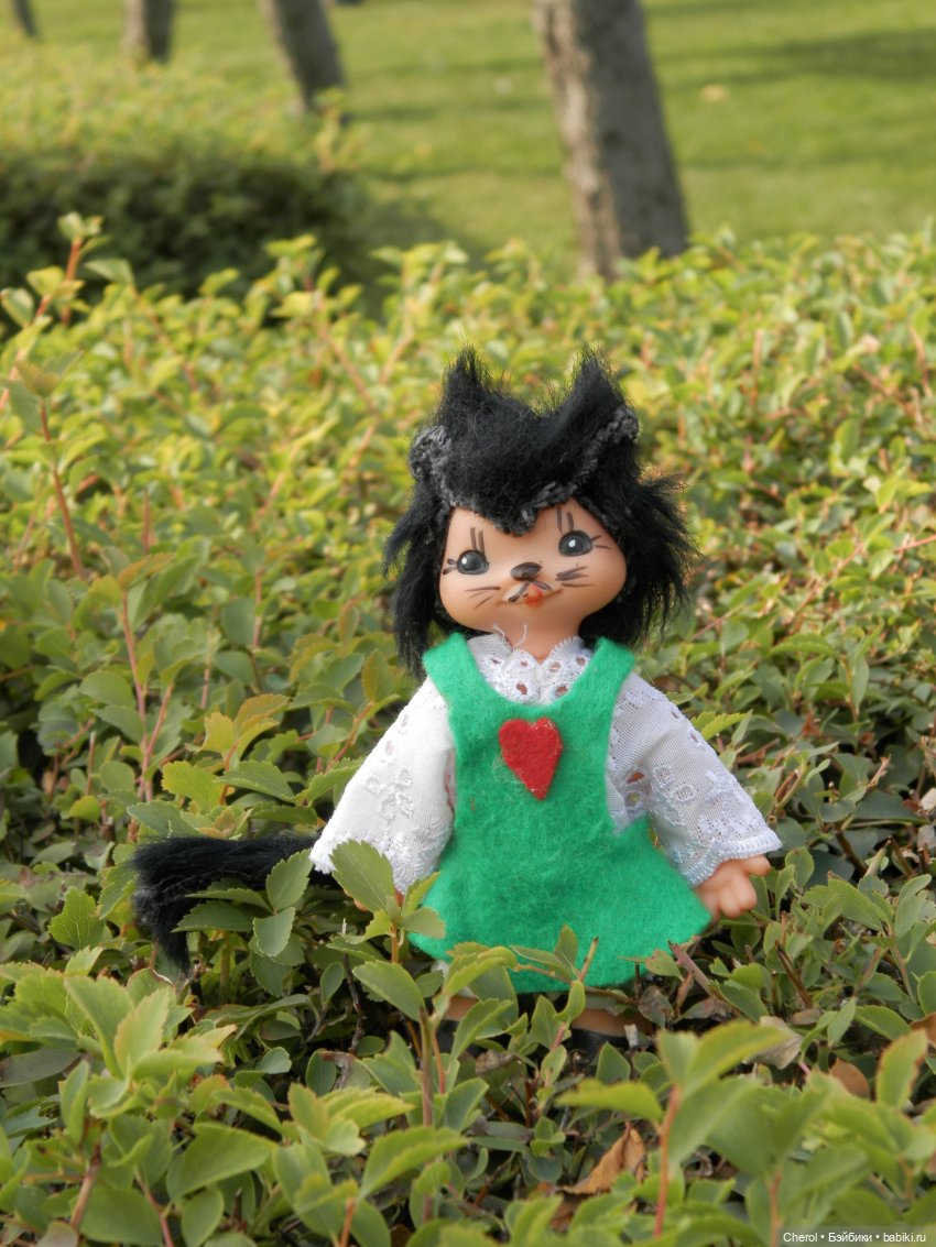 Кошка, которая гуляет сама по себе (фото 5)