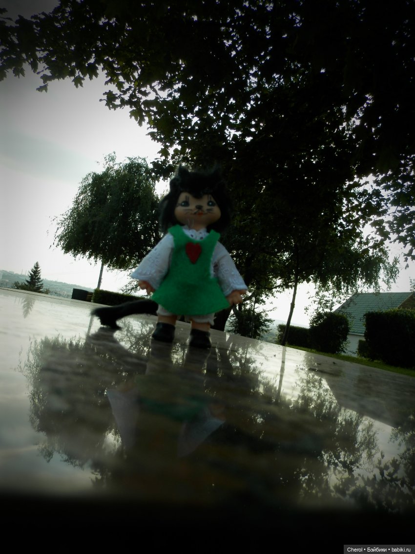 Кошка, которая гуляет сама по себе (фото 3)