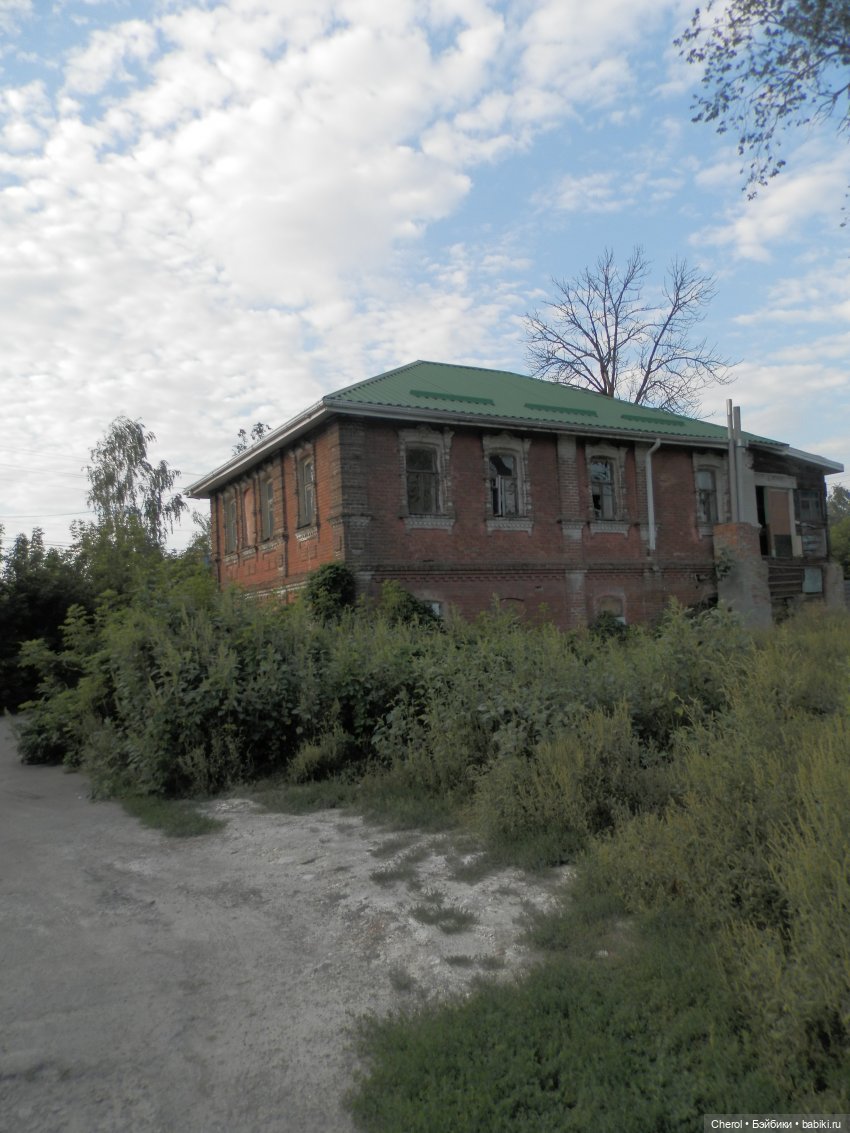 Кошка, которая гуляет сама по себе (фото 7)