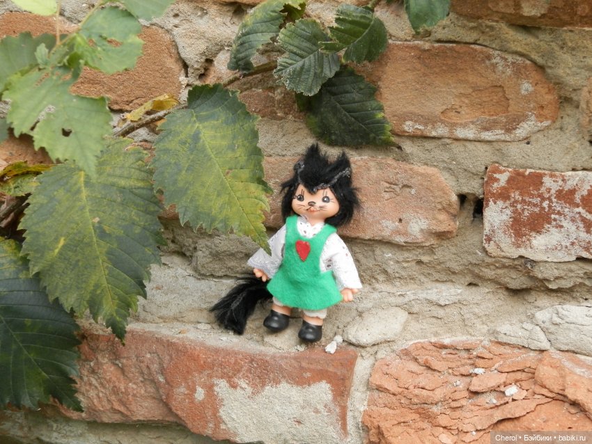 Кошка, которая гуляет сама по себе (фото 9)