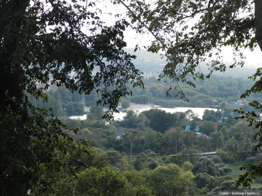 Кошка, которая гуляет сама по себе