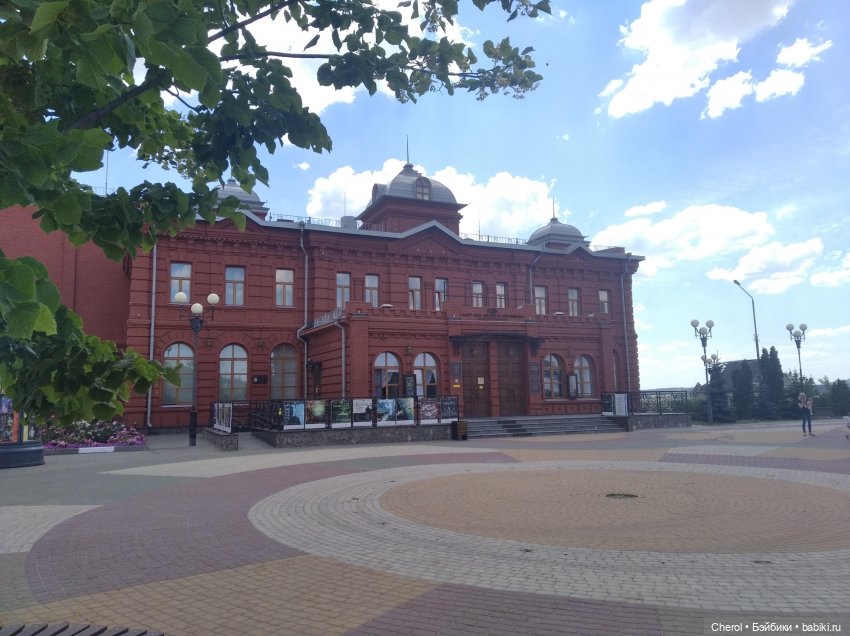 Кошка, которая гуляет сама по себе