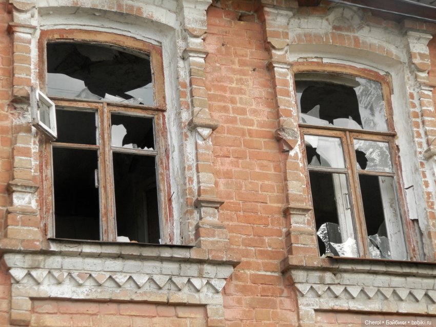 Кошка, которая гуляет сама по себе