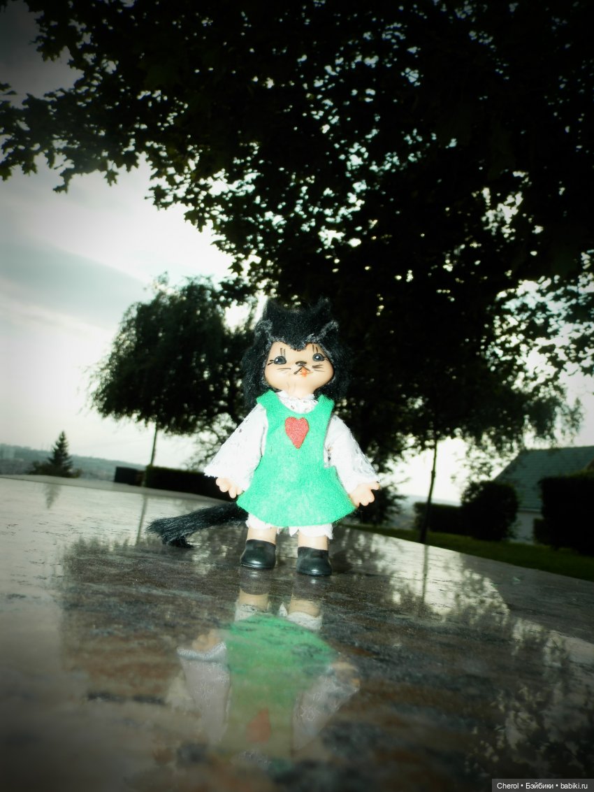 Кошка, которая гуляет сама по себе (фото 4)