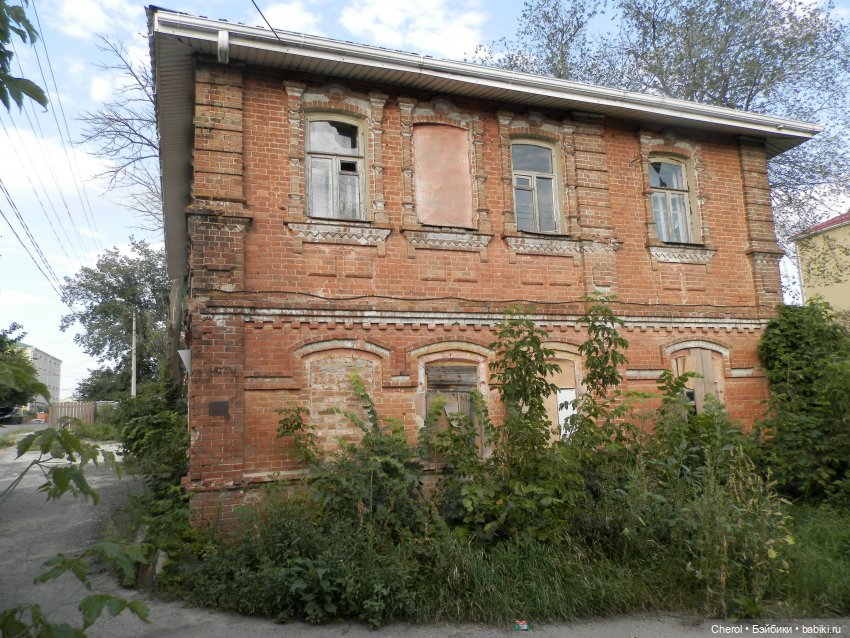 Кошка, которая гуляет сама по себе (фото 8)