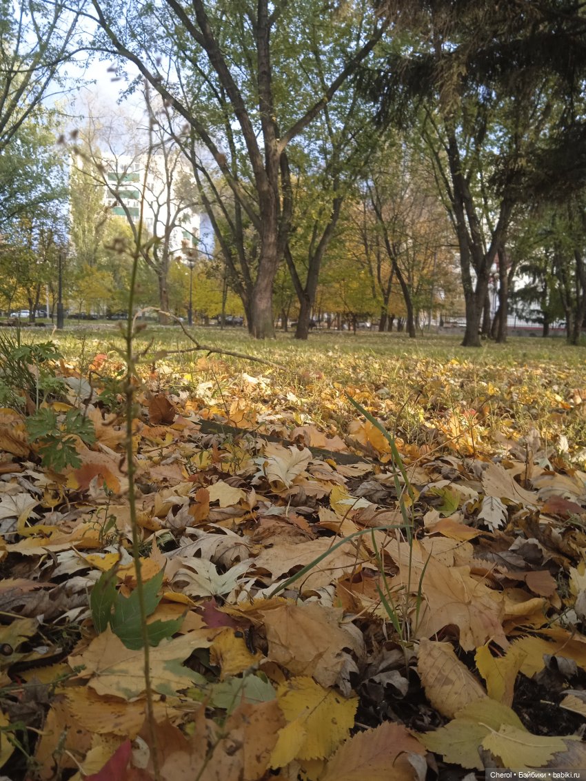 Настроение "Осень"🍃 — Игрушки СССР и советского детства: резиновые