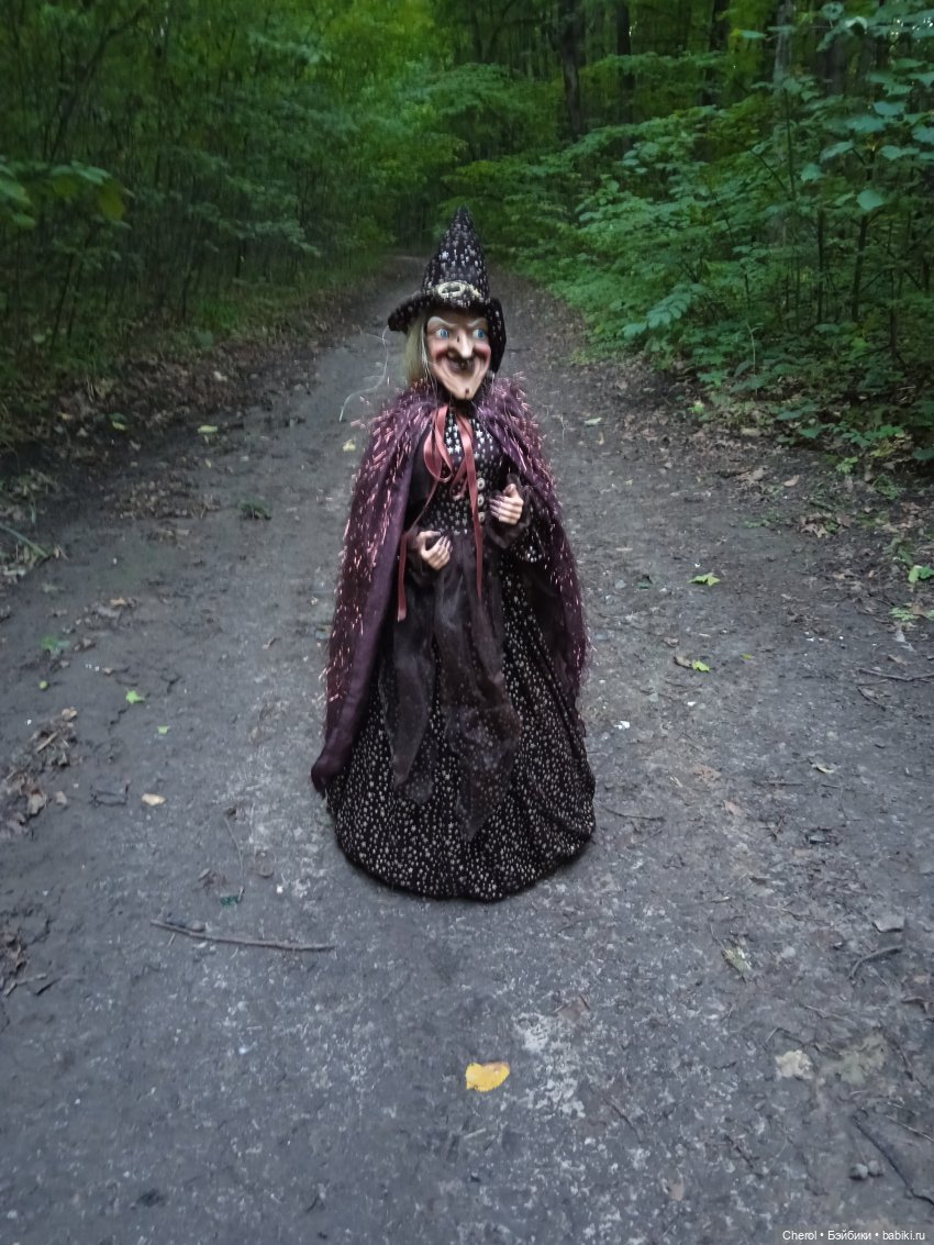 Ведьма — Игровые куклы разных производителей (Разное): редкие бренды (фото 4)